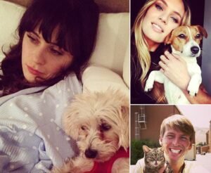 Celebrity Pets on Instagram: More Than Just Cute Photos