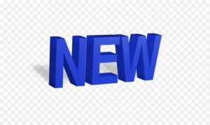 The Alluring, Elusive World of New York Celebgrams