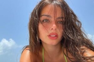 The Aspirational Algorithm: Understanding Celebrity Influencer Goals in the Digital Age